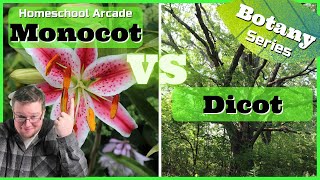 Monocots VS Dicots  6 Main Differences Between Monocots amp Dicots [upl. by Novej642]