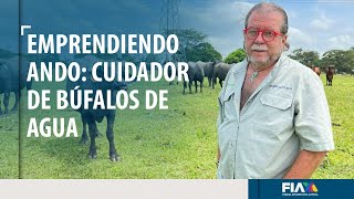 EMPRENDIENDOANDO  Cuidador de búfalos de agua en Tabasco [upl. by Arral]