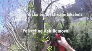 Verwijderen Es bij Elektriciteitskabels  Powerline Ash Removal [upl. by Enirrok886]