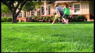 Fixing Your Patchy Lawn  Use Extreme Green [upl. by Jc]