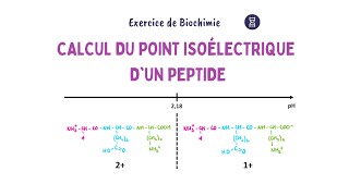 Déterminer le pHi d’un peptide  Biochimie Facile [upl. by Sandor602]