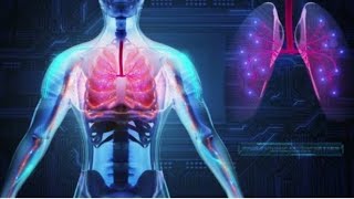 maturation of lungs 🫁  development of respiratory system part 6 [upl. by Linsk]