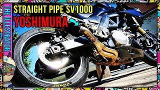 Straight Pipe SV1000 with Yoshimura Headers [upl. by Brucie215]