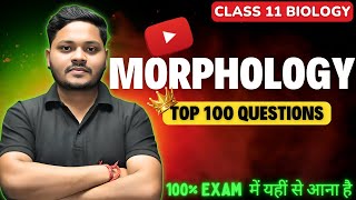 Class 11 Biology Morphology Practice Questions  Class 11 Biology  CBSE amp NEET [upl. by Eneirda]