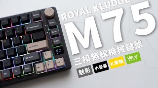 JC質感用料，再次升級RK M75 三模無線機械鍵盤 魅影版上手！ [upl. by Akilat]