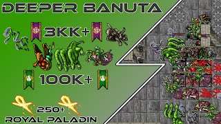 TIBIA SUMMER UPDATE 2024  TEASER 1 SAIU NOVAS INFORMAÇÕES [upl. by Anirba337]