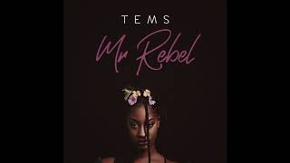 Tems  Mr Rebel [upl. by Laks386]