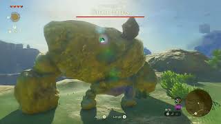 The Legend of Zelda Tears of the Kingdom  100 Run  Day 15 [upl. by Norrat240]