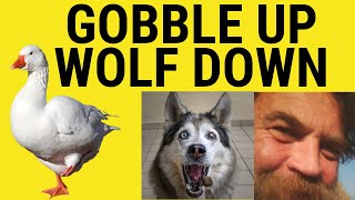 Wolf Down  Gobble Up  Gobble Down  Bolt Down  Meaning  Phrasals  British English Pronunciation [upl. by Lovmilla]