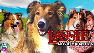 LASSIE Mega Marathon  3 Classic Movies featuring your favorite canine  Dog Movies [upl. by Rochemont943]