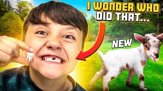 Got New Goats amp then Shawns TOOTH got PULLED out 🦷🦶 FV Family Farm Vlog [upl. by Arenat]