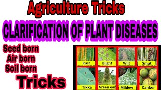 CLARIFICATION OF PLANT DISEASES How to remember PLANT DISEASES Tricks for Agriculture [upl. by Zita]