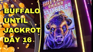 Epic Comeback Massive Win on Buffalo Slot  Day 16 [upl. by Chlo697]