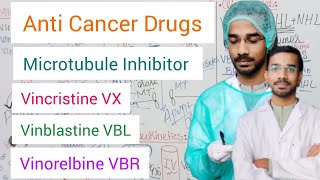 Vincristine  Vinblastine  Vinorelbine  Microtubule Inhibitor  Anticancer Drugs [upl. by Angelis]