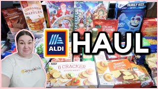 ALDI WEEKLY GROCERY HAUL  1Week Haul amp Meal Plan  NOVEMBER 2023 [upl. by Lekcar]