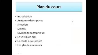 la cavité buccale et les glandes salivaires  dabdarahman rakik étudiant en 2 eme année médecin [upl. by Ermey]