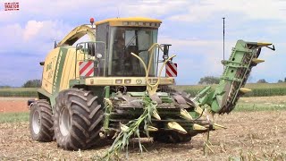 COMPLETE Corn Harvest with KRONE BIG X Forage Harvesters [upl. by Nehemiah]