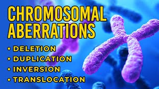 Chromosomal Aberrations  Deletion  Duplication  Inversion  Translocation [upl. by Hasile677]