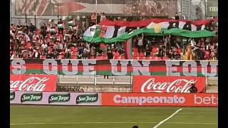 LOS BAISANOS ⚫🟢⚪ PALESTINO DE CHILE [upl. by Yornoc252]