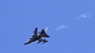 Great Sounding Tornado Jets Firing The Mauser Cannon [upl. by Steinberg609]