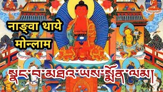 Nangwa Thaye Monlam  སྣང་བ་མཐའ་ཡས་སྨོན་ལམ  Amitabh Buddha Prayer  Reborn In Pureland [upl. by Hibbert]