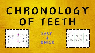 Confused About Eruption Time of Teeth  Learn the easy way [upl. by Elsi]