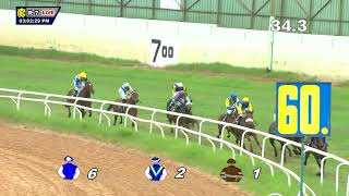 DHANTERAS THE CHAMPION TRAINER CUP DIVI100 [upl. by Schargel]