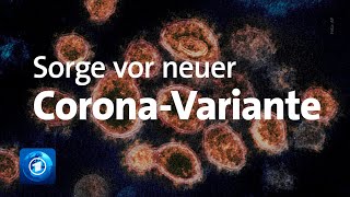 Coronavirus OmikronVariante bereitet Expertinnen Sorge [upl. by Nylazor237]