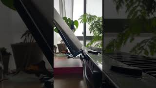 Piano Day 505  Miniature Fugue 5  ARowley Precede Invention [upl. by Asilrak]