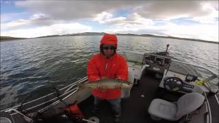 LongwaterFishingcom  Fishing at Spinney Mountain Reservoir [upl. by Natty]