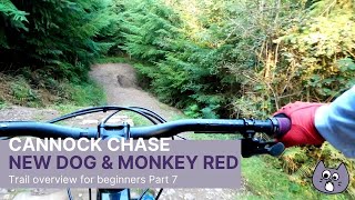 Cannock Chase Follow The Dog and Monkey Trails 2021 Pt7 [upl. by Kimball]