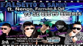 Yo Se Que Tu Quieres Remix  Falsetto amp Sammy Ft Ñengo Farruko amp Opi ★HoyMusicCom★ [upl. by Nnylav566]