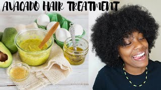 Avocado amp Egg Hair Treatment for DRY HAIR Wash Routine [upl. by Danby]