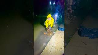 Quick Methods for Draining Flooded Streets shorts unclog satisfying viralvideo [upl. by Archangel]