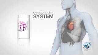 Proflavanol C PH en  USANA Video [upl. by Clausen]