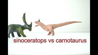 sinoceratops vs carnotaurus [upl. by Etnwahs192]