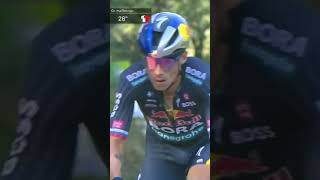 Primoz Roglic Launched To Stage 19 Win amp Overall Lead At Vuelta a España 2024 [upl. by Eliak232]