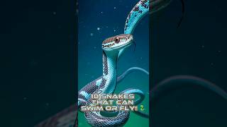 10 Snakes That Can Swim or Fly 🐍ParadiseTreeSnake FlyingSnake Cottonmouth Wildlife Snakes [upl. by Malena544]