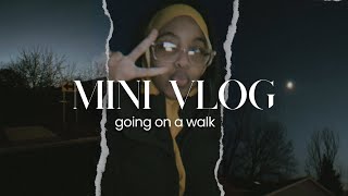 Mini vlog going on a walk  bibi’s diary ep2 [upl. by Gladdy]