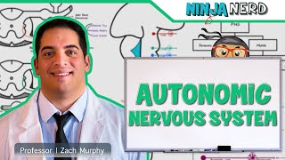 Neurology  Autonomic Nervous System [upl. by Brocklin]