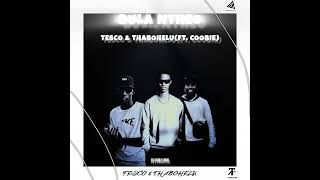 Tesco amp ThaboheluBula Ntheo FeatCoobie Official Audio [upl. by Sacram729]