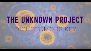 Unknown Bacteria Dichotomous Key [upl. by Emmery591]