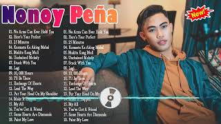 Nonoy Peña Nonstop Opm Tagalog Song  Nonoy Peña Best Songs Full Album [upl. by Cod895]