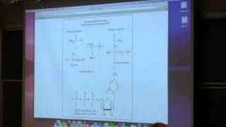 Aherns BB 350 at OSU  10 Enzymes Control I [upl. by Suzy]