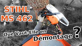 MS 462 ou MS 500i Laquelle Choisir chez STIHL pour du Démontage [upl. by Sileray]