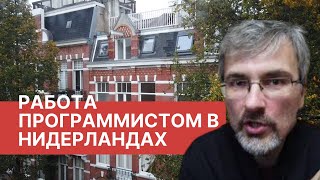 Как программисту найти работу в Нидерландах  Прохождение интервью [upl. by Gaillard]