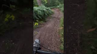 STILE COP  CANNOCK CHASE  RIDGE RUN Full Video on Channel [upl. by Nybbor]