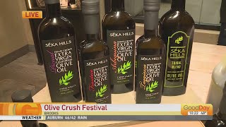 Olive Crush Festival at Seka Hills Olive Mill [upl. by Faustina]