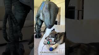 Un uomo vestito da Velociraptor cerca di rubare losso del suo cane [upl. by Irrol]