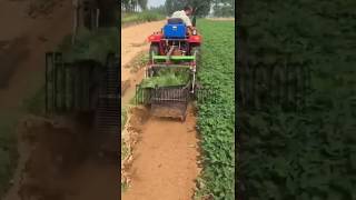 Multifunctional Peanut Harvester MachineLima Machinery [upl. by Mareah307]